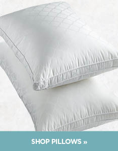 Martha Stewart Pillows