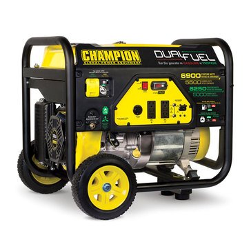 Champion 5500-Watt Dual Fuel Generator (100231)