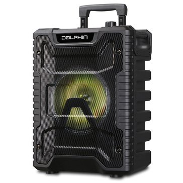 Dolphin 8