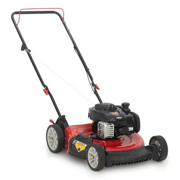 Troy-Bilt 21