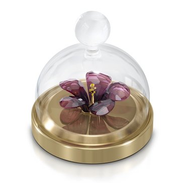 Swarovski Garden Tales, Bell Jar Hibiscus Small