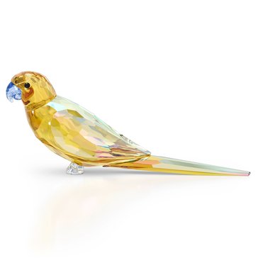 Swarovski Jungle Beats, Parakeet